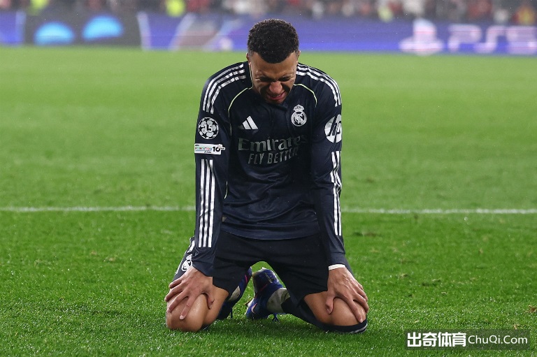 燃情盛宴,七强企业携,广州豹蓄势,乐鱼体育,乐鱼app,乐鱼官网,乐鱼体育app