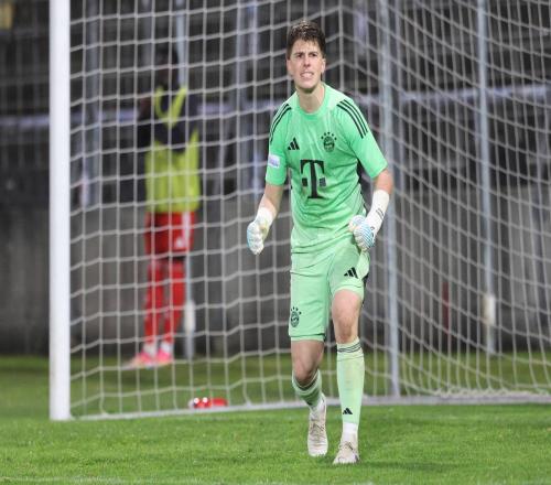 双色球,期蓝球走势,及专家质合,乐鱼体育,乐鱼app,乐鱼官网,乐鱼体育app