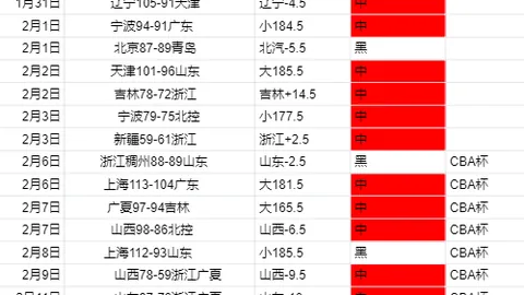 北马其顿欧预选16胜11，能否持续黑马表现