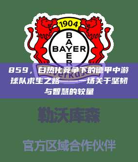 859，白热化竞争下的德甲中游球队求生之路——一场关于坚韧与智慧的较量