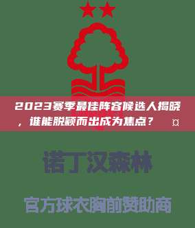 2023赛季最佳阵容候选人揭晓，谁能脱颖而出成为焦点？🤔