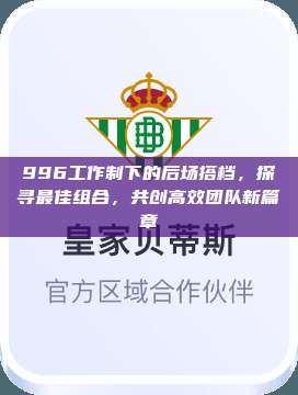 996工作制下的后场搭档，探寻最佳组合，共创高效团队新篇章